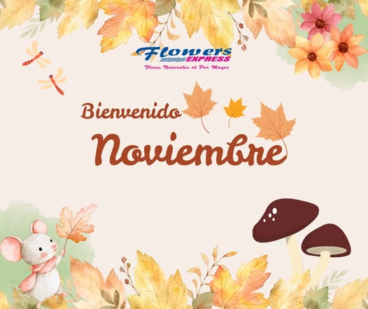 Noviembre